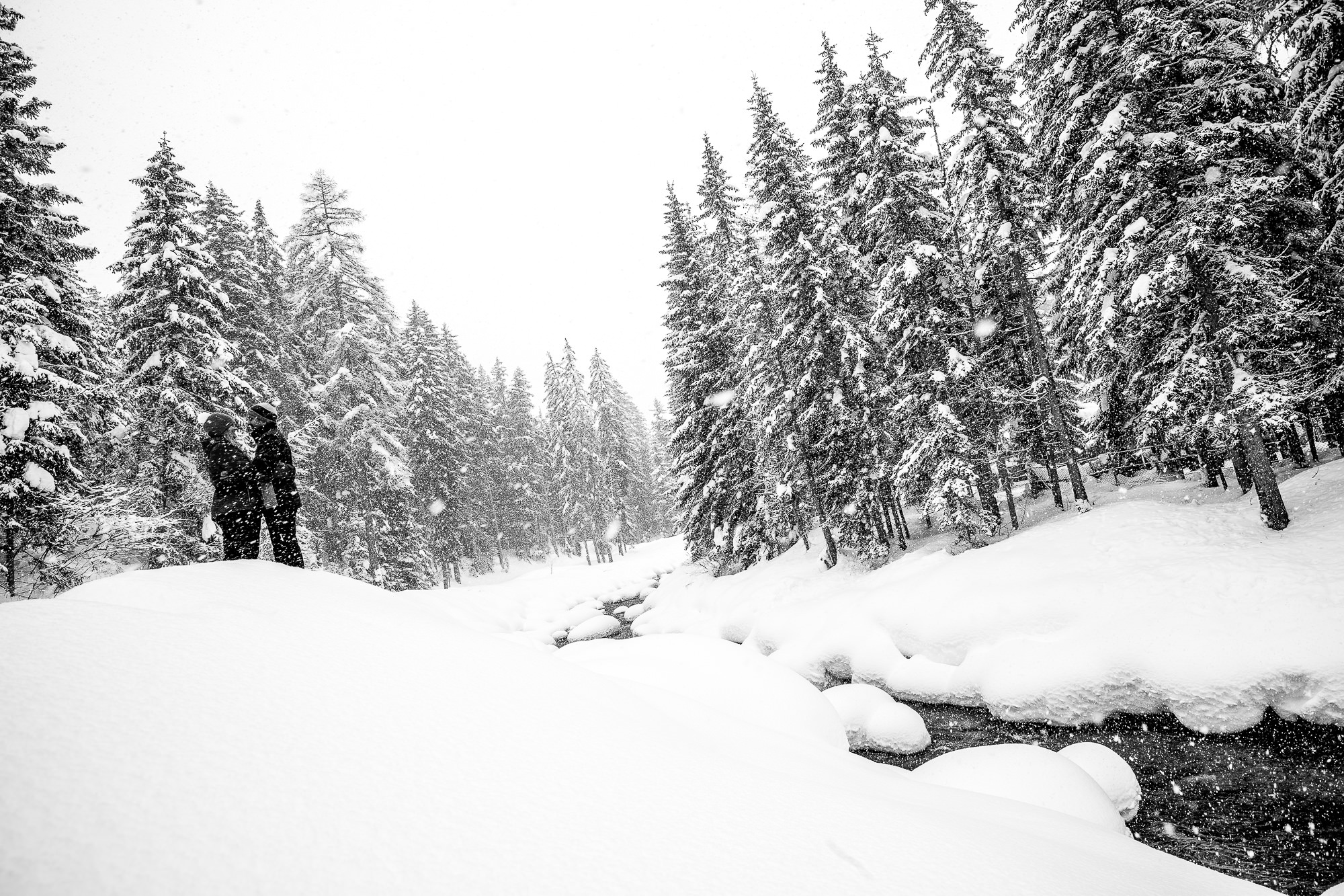 Export x3 1DX29095 Bearbeitet 2 Verlobungsfotoshooting 2018 Anna & Dominik